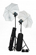 Комплект света Elinchrom D-Lite RX-ONE Umbrella Set от магазина фотооборудования Фотошанс