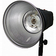 Fancier Fan001BW Комплект импульсного света (3х200Дж) от магазина фотооборудования Фотошанс