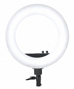 Grifon SMD 50W Кольцевой LED осветитель (bi-color) от магазина фотооборудования Фотошанс