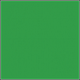 Нетканый фон 1,6x2,1м Зеленый  от магазина фотооборудования Фотошанс