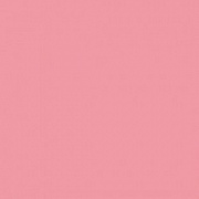 FST фон пластиковый 100х120см розовый матовый от магазина фотооборудования Фотошанс