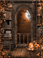 Фон виниловый Хэллоуин 1.5х2м Fotodiox JUW-07 от магазина фотооборудования Фотошанс
