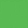 Фон SR Colormatt Spring Green (хромакей) 100x130 пластиковый от магазина фотооборудования Фотошанс