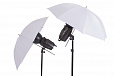 Комплект импульсного света FST E-250 Umbrella Kit от магазина фотооборудования Фотошанс