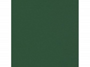 FST 2,72x11m 1006 Dark Green Зеленый Фон бумажный  от магазина фотооборудования Фотошанс