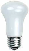 Галогенная лампа Elinchrom 196V для D-Lite/BRX от магазина фотооборудования Фотошанс