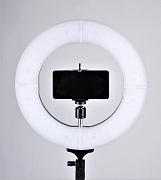 Cветодиодный кольцевой осветитель FST LED 12-RLII с зеркалом (bi-color) от магазина фотооборудования Фотошанс