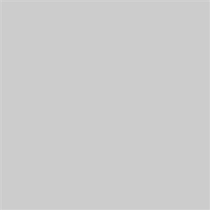Фон SR Colormatt Dove Grey 100x130 (светло-серый) приобрести по лучшей цене в интернет-магазине Фотошанс.ру